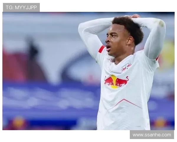 中超莱比锡（莱比锡足球队介绍）世界杯体育论坛