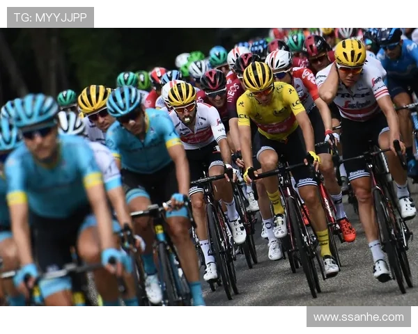 全民环法自行车赛（全民自行车比赛）sports